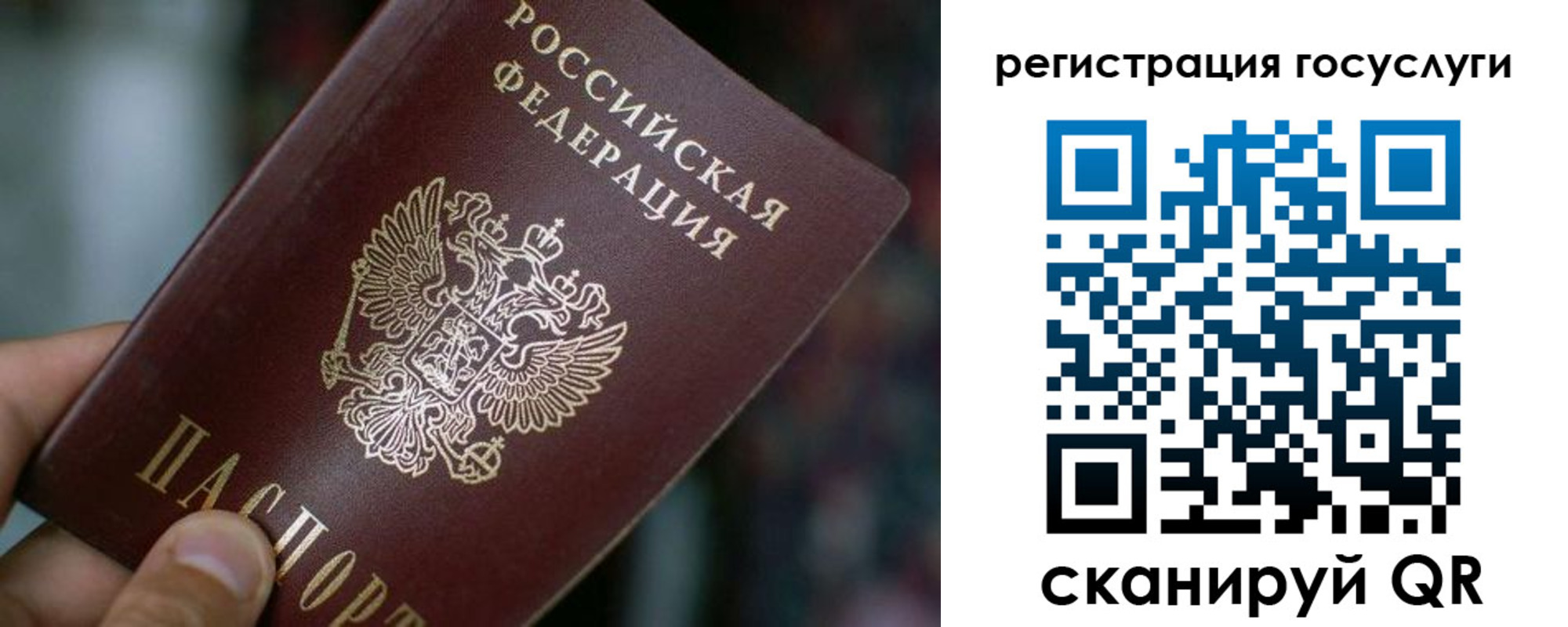 временная прописка в Мончегорске